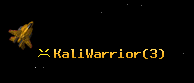 KaliWarrior