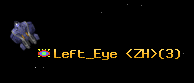 Left_Eye <ZH>