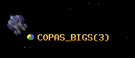 COPAS_BIGS