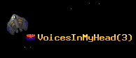 VoicesInMyHead
