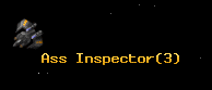 Ass Inspector