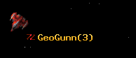GeoGunn