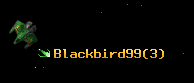 Blackbird99
