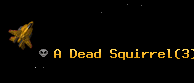 A Dead Squirrel