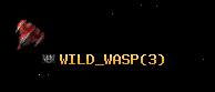 WILD_WASP