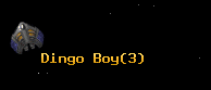 Dingo Boy