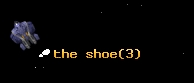the shoe