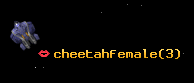 cheetahfemale