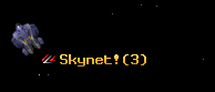 Skynet!