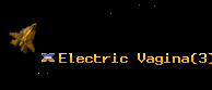 Electric Vagina