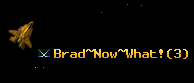 Brad~Now~What!