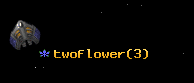 twoflower