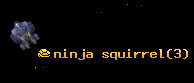 ninja squirrel