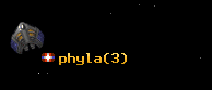 phyla