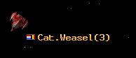 Cat.Weasel