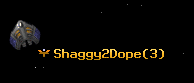 Shaggy2Dope