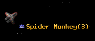 Spider Monkey