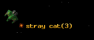 stray cat
