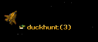 duckhunt