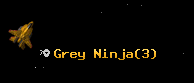 Grey Ninja