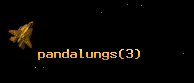 pandalungs