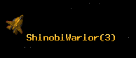 ShinobiWarior