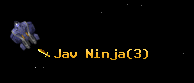 Jav Ninja