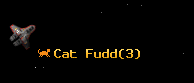 Cat Fudd