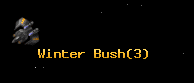 Winter Bush