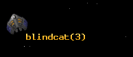 blindcat