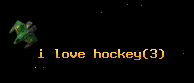 i love hockey
