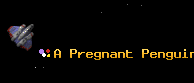 A Pregnant Penguin