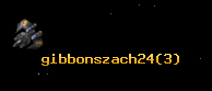 gibbonszach24