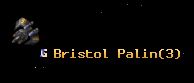 Bristol Palin