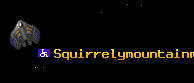 Squirrelymountainman