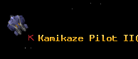 Kamikaze Pilot II