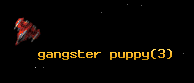 gangster puppy