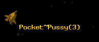 Pocket~Pussy