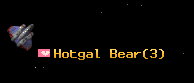 Hotgal Bear