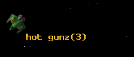 hot gunz