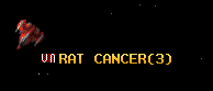 RAT CANCER