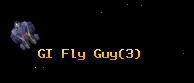 GI Fly Guy