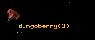 dingoberry