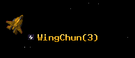 WingChun