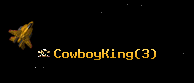 CowboyKing