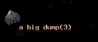 a big dump