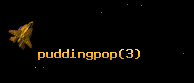 puddingpop