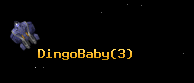 DingoBaby