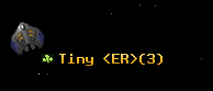 Tiny <ER>