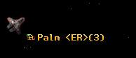 Palm <ER>